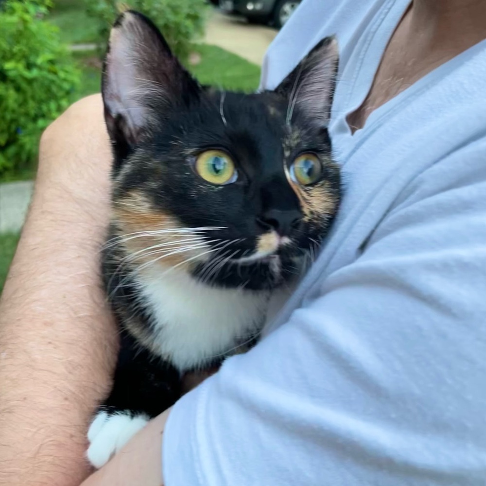 Meet your Posher, Catherine